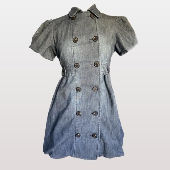 Celebrity Pink Chambray Double Breasted Puffed Hem Coat Dress Size Large - Picture 1 of 9